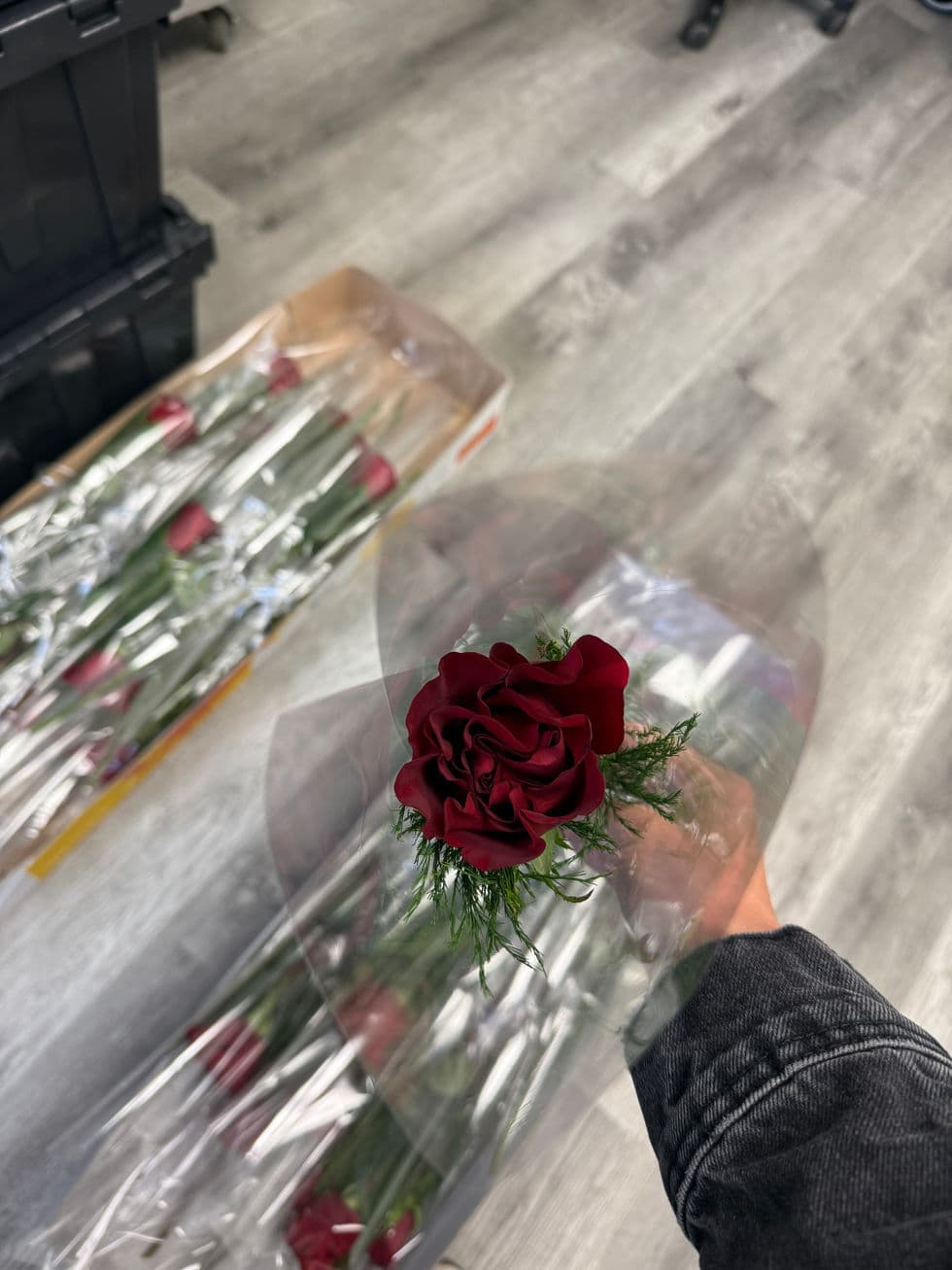 Roses
